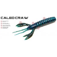 Caleo Craw 4
